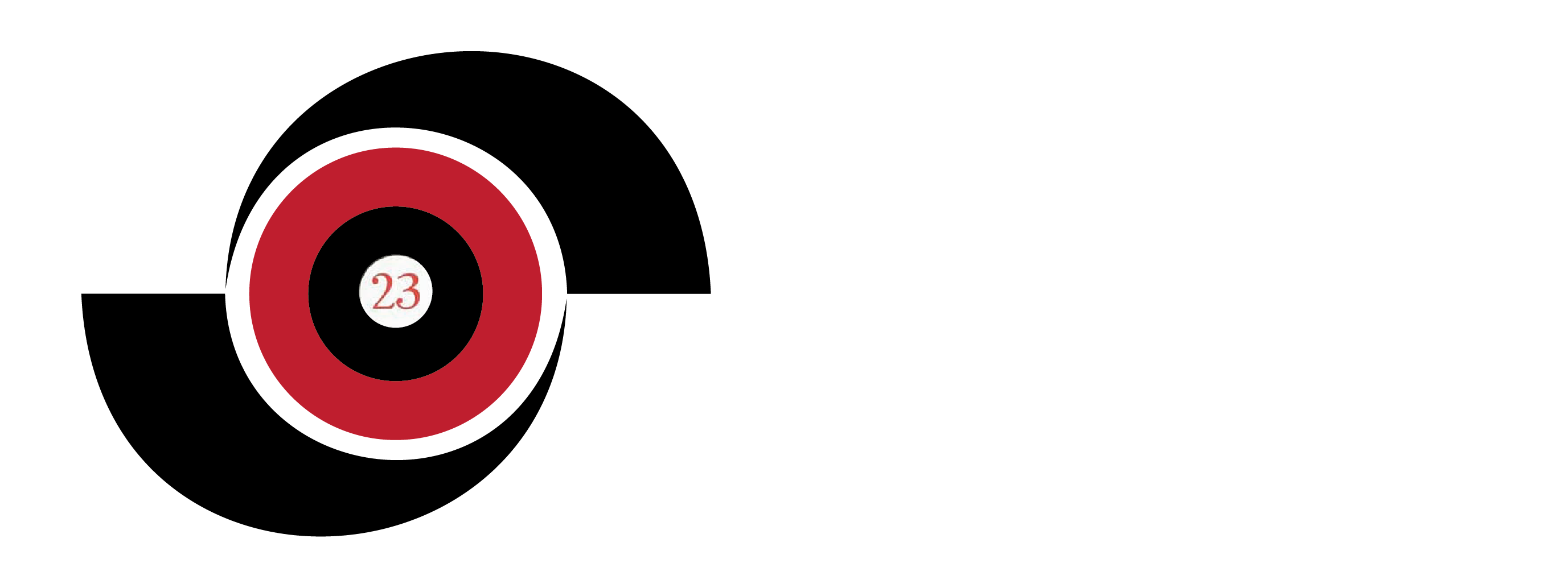 Screenwire Logo